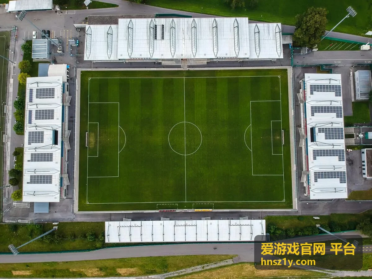 爱游戏官网 平台观赛观众反馈